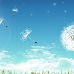 Breeze