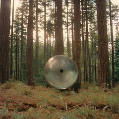 Feldberg - Surrealism (Free DL)