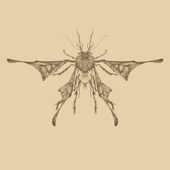 In Any Type of Way (You’ve Gone)