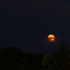 moonrise