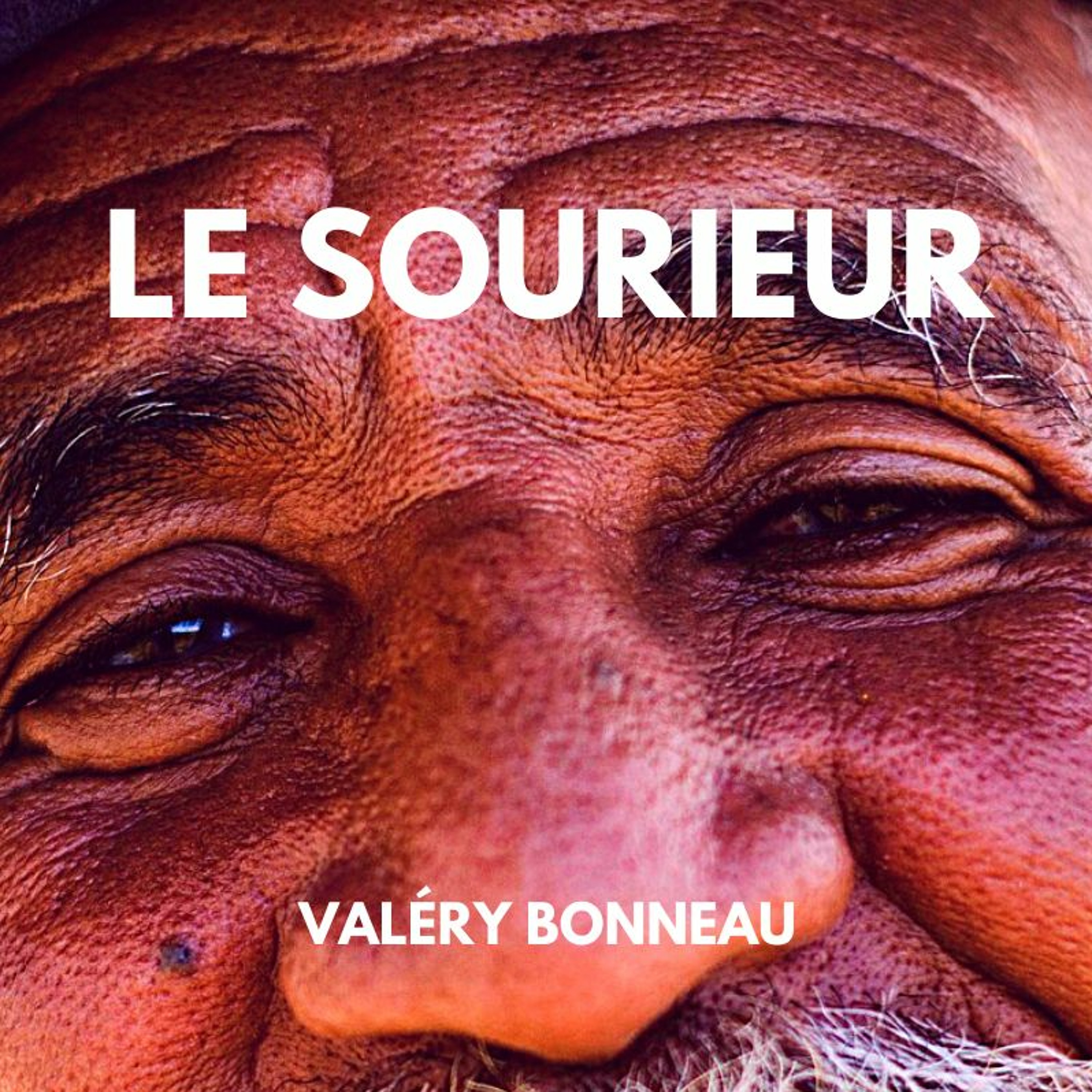 Livre Audio - Nouvelles Noires