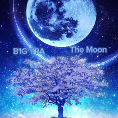The Moon