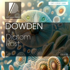 DD035: Dowden - Diatom