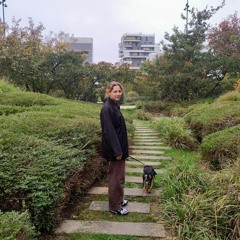 2025 late summer – autumn house & garage