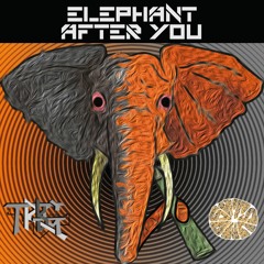 Elephant After You Ft Satsuma Sound