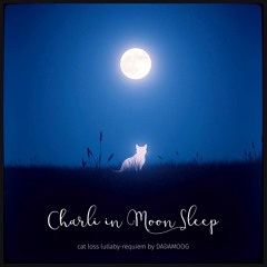 CHARLI IN MOON SLEEP