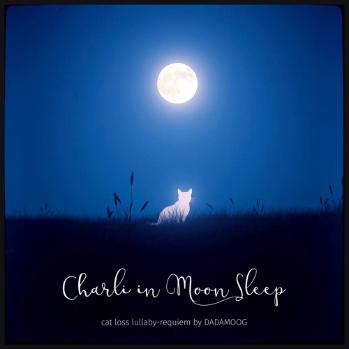CHARLI IN MOON SLEEP - Cat Loss Lullaby (Requiem)