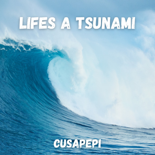 Lifes a Tsunami