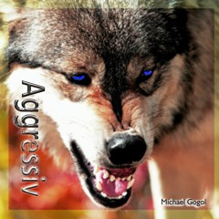 Aggressiv - Michael Gogol