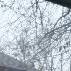 make me kiss your knife