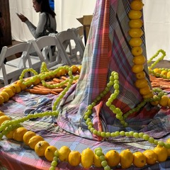 Abacaxi SS25 Runway Soundtrack