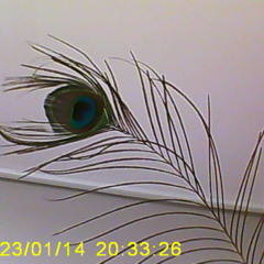 New_Project (1)