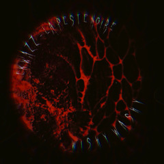 WISHY WASHY vs La Peste Noire