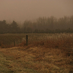 quiet ancient rhythm