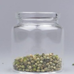 Baumärkte zum Verkauf von Hanfsamen weiter unentschlossen