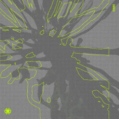 𝖕𝖗𝖊𝖒𝖎𝖊𝖗𝖊#403 📢 Entrañas - Roto [RUTA]