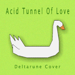 Acid Tunnel Of Love (Deltarune Cover)