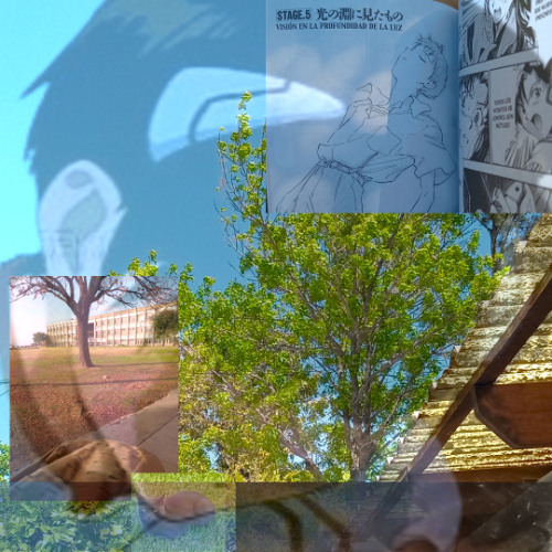 CORE
