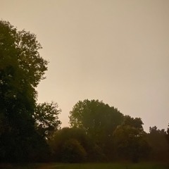 stingray stings Vol.3