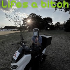 Life’s a bitch