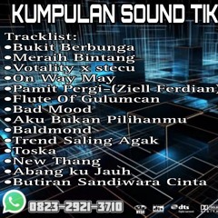DUGEM TERBARU 2025_Meraih Bintang X Pamit Pergi_(Viral TikTok)
