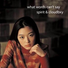 what words can't say (spirit & cloudbxy)