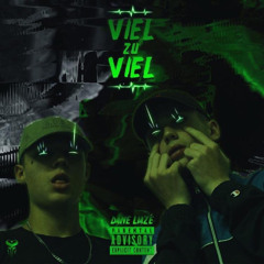 Viel zu viel (feat. Dane)