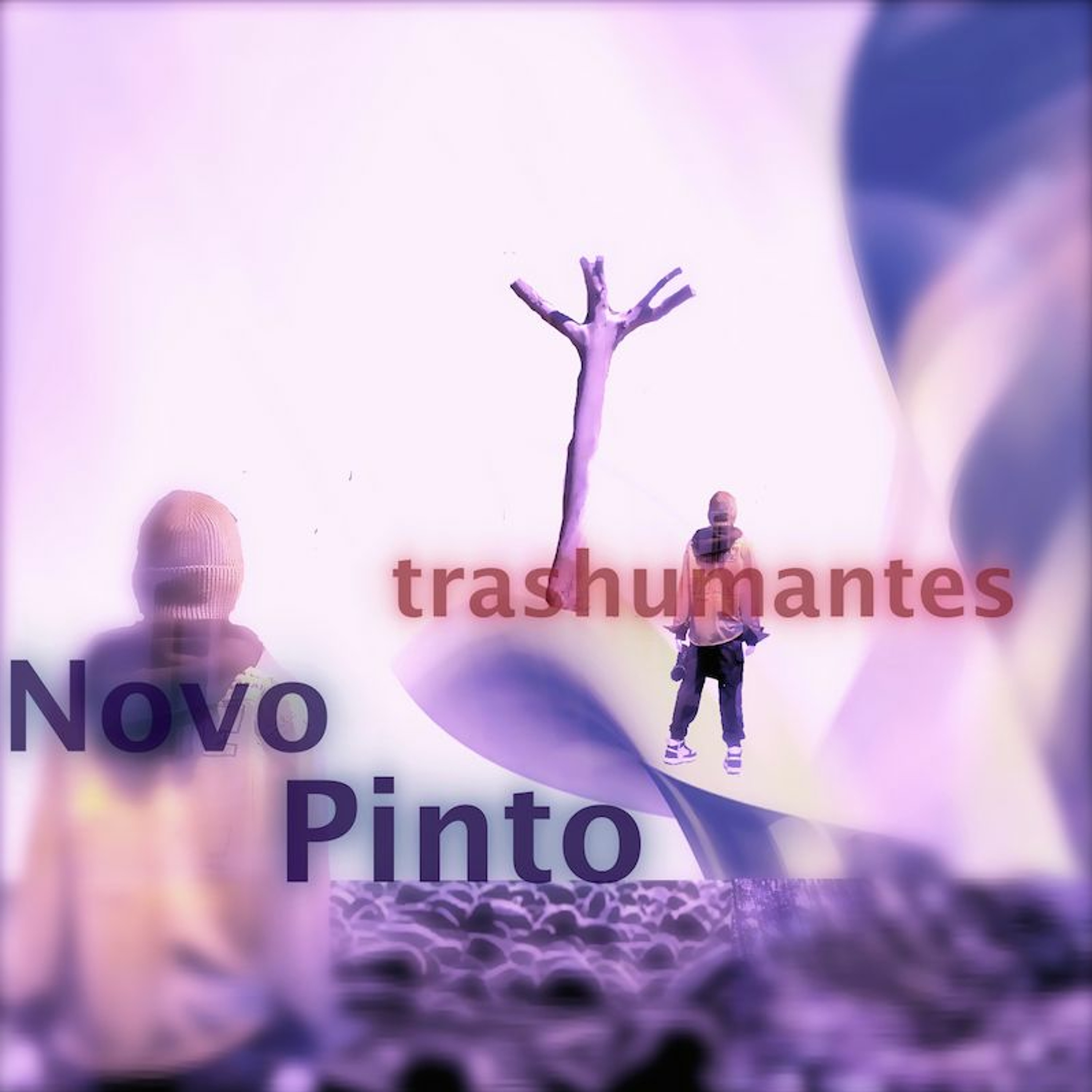 Novo Pinto