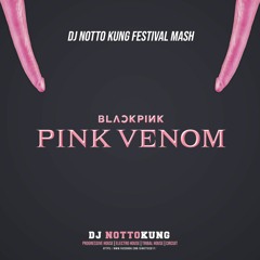 BLACKPINK - Pink Venom (DJ NOTTOKUNG FESTIVAL MASH) Nina Flowers, Junior Senna, Rafael Dutra