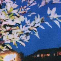 WhydoItry.