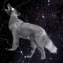 LD43 - Midnight Wax Special (sold)