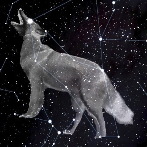 LD43 - Midnight Wax Special (sold)