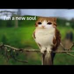 WALKING PLANT (100 FREEBIE!!!!)