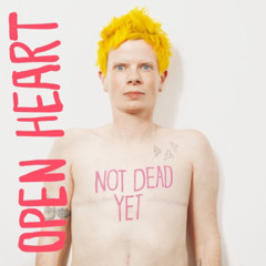 Open Heart