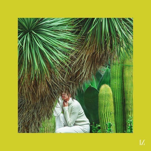 Stereocalypse - Domino [Multinotes]