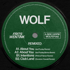 PREMIERE: Frits Wentink - About You (Ian Pooley Remix) [WOLFEP082]