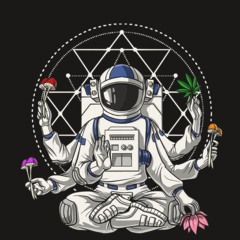 COSMIC SIMULATION MIXTAPE