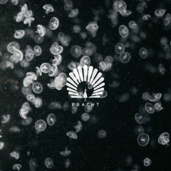 Lotus (Extended Mix) [feat. bailey]