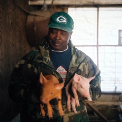 FiveFarms02 - Nurturing