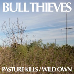Bull Thieves - Pasture Kills (OJET-030)