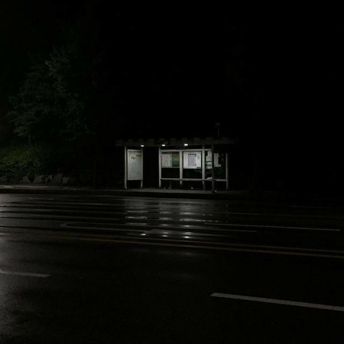 acid rain - lorn