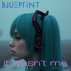 IT WASN'T ME