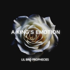 A King's Emotion (beat prod. nat)