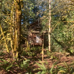 Green and raining again