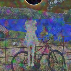 Mouse on a Bicycle