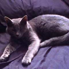 deja vu (prod.michael harrison)