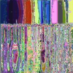 Go Polish Your Bugle