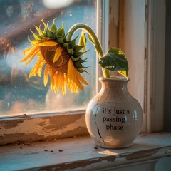 IT'S JUST A PASSING PHASE - Nynke & Textured Grooves