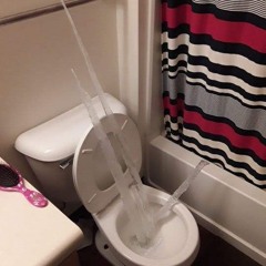 palm trees & sunsets