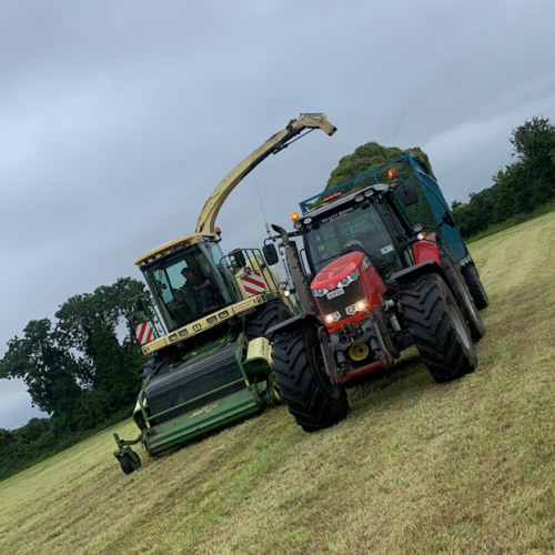 years or practice 🤪